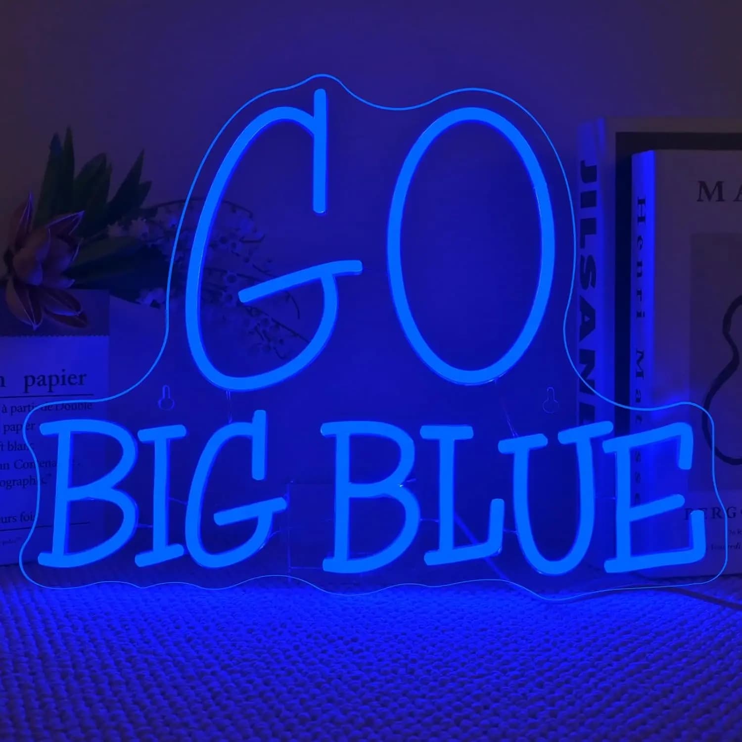Insegna al Neon 'Go Big Blue' Dimmerabile, Luce LED al Neon per Camera da Letto, Soggiorno, Ristorante, Man Cave, Sala Giochi, Decorazione Murale, Regalo