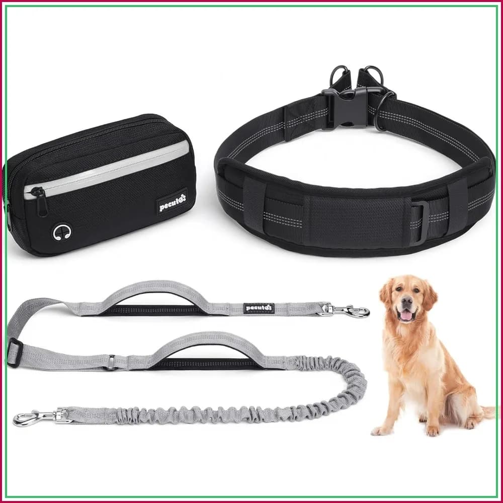 Hands Free Dog Leash for Large Breeds, Waist Belt with Pouch, Shock Absorbing Bungee, No Pull Dual Handles 33-120 lbs