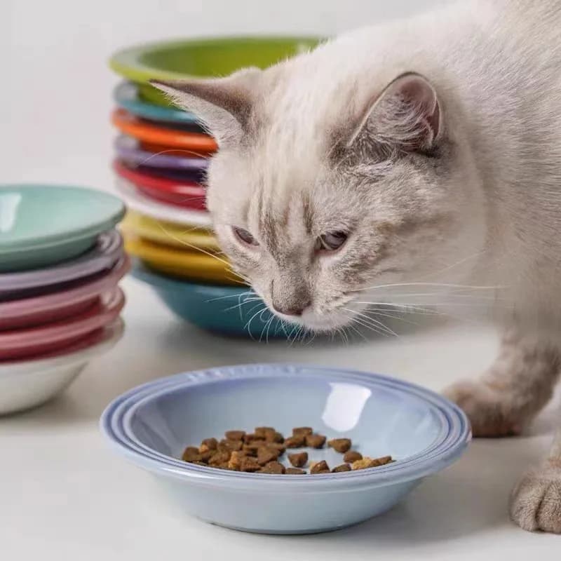 Ciotola per alimenti per gatti rialzata Extra larga, ciotole per animali domestici rialzate mangiatoia per gatti Anti-vomito baffo ciotole per l'alimentazione di gatti in ceramica per cani senza Stress