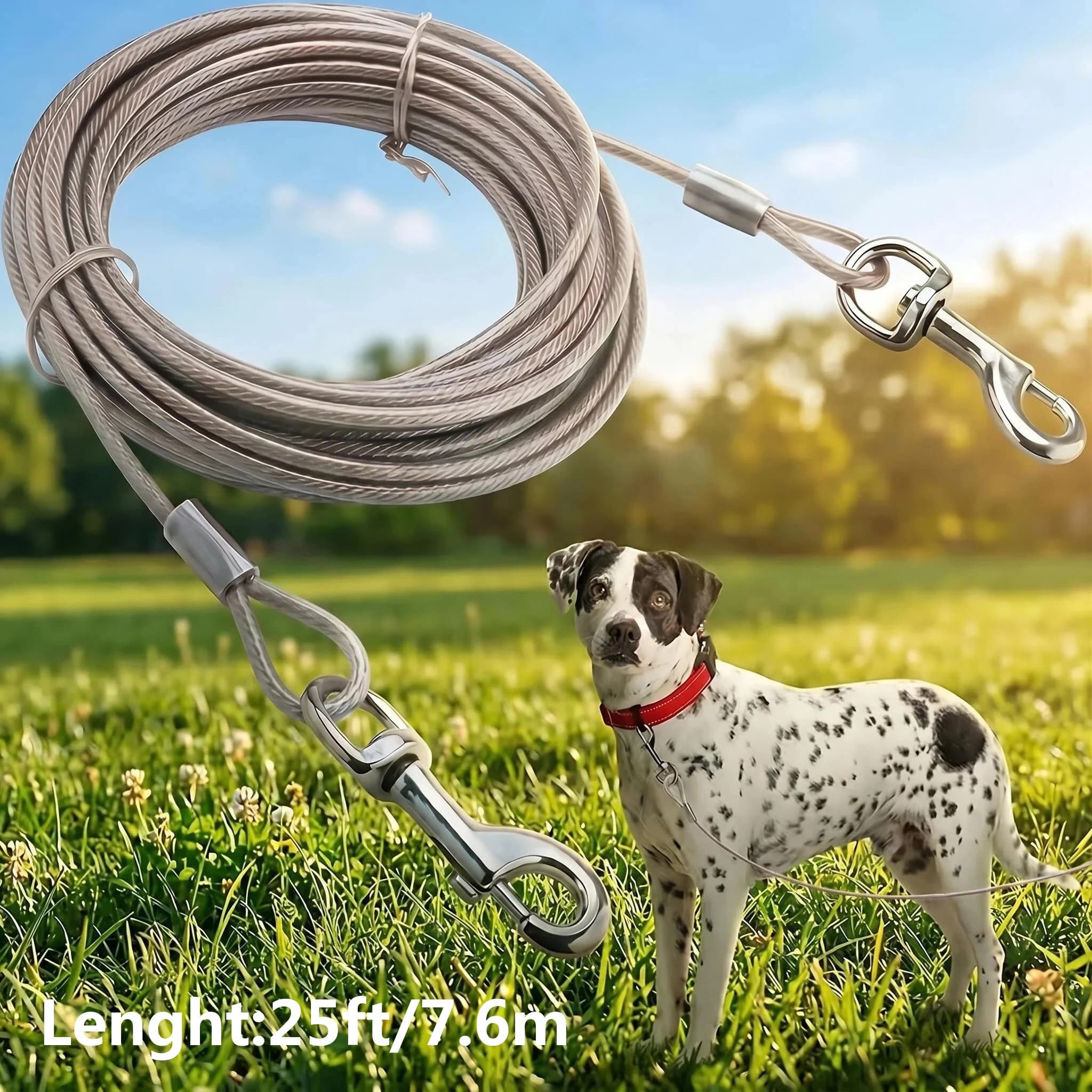 Basics Rust-Free Steel Wire Tie-Out Cable for Large Dogs up to 90 lbs, Dog Leash Run Tether, 25 feet, White