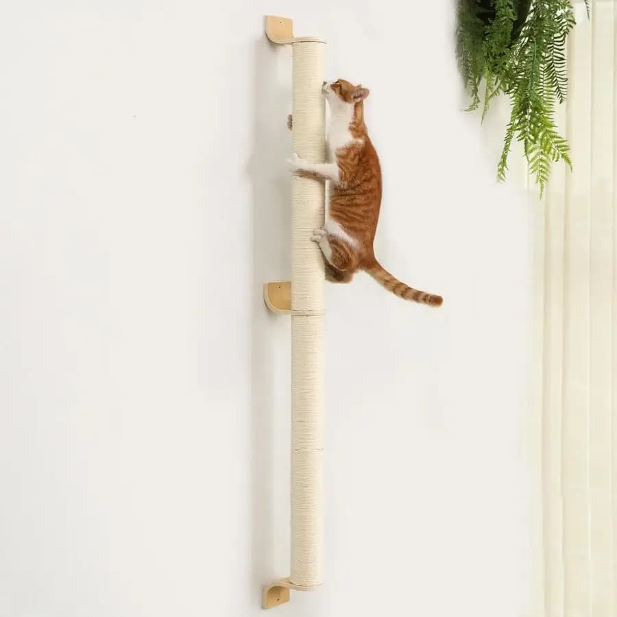 Tiragraffi da Parete per Gatti, Tiragraffi da Parete Alto 60 cm per Gattini, Robusto Tiragraffi in Sisal per Gatti di Taglia Grande da Interno