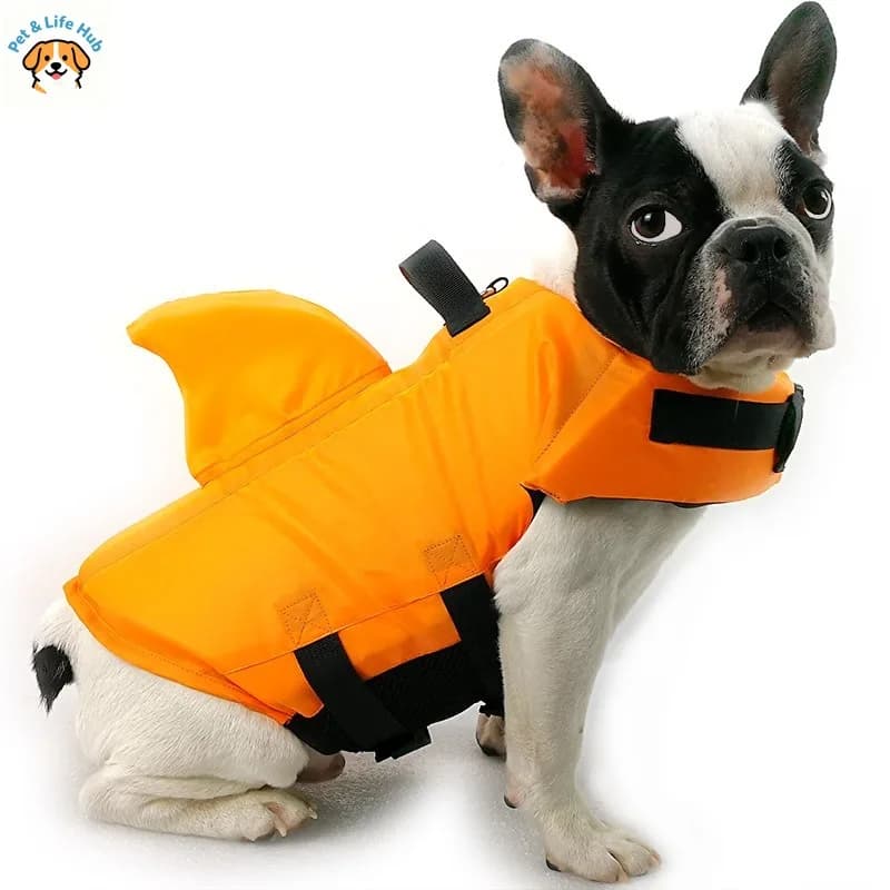 Nuovo Costume da Bagno per Cani con Design a Pinna di Squalo, Giubbotto di Salvataggio Impermeabile per Cani di Piccola, Media e Grande Taglia, Bulldog Francese