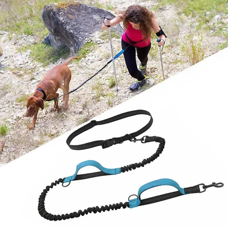 Elastic double-breeding stretch cord for outdoor pets Reflective for night race Double-handed stretch cord