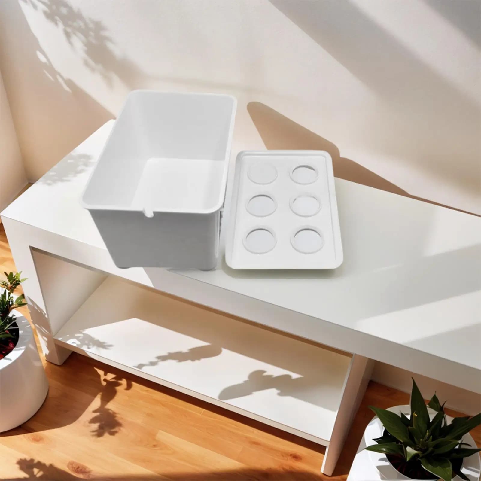 Tray for seedlings Cover for 6 cells Propagator for greenhouse Trays for germination Pot for seedlings Vegetables Internal Dorm Office