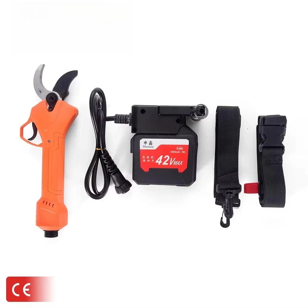 Electric Power Supply 42V Battery with Garden Transmitter for Copper and Tree Power