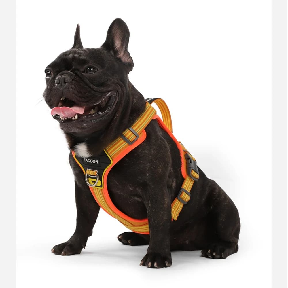 Nuovo Tipo di Guinzaglio per Cani Antiesplosione, Stile Gilet con Supporto per Petto e Schiena, Guinzaglio per Passeggiate, Accessori per Animali Domestici