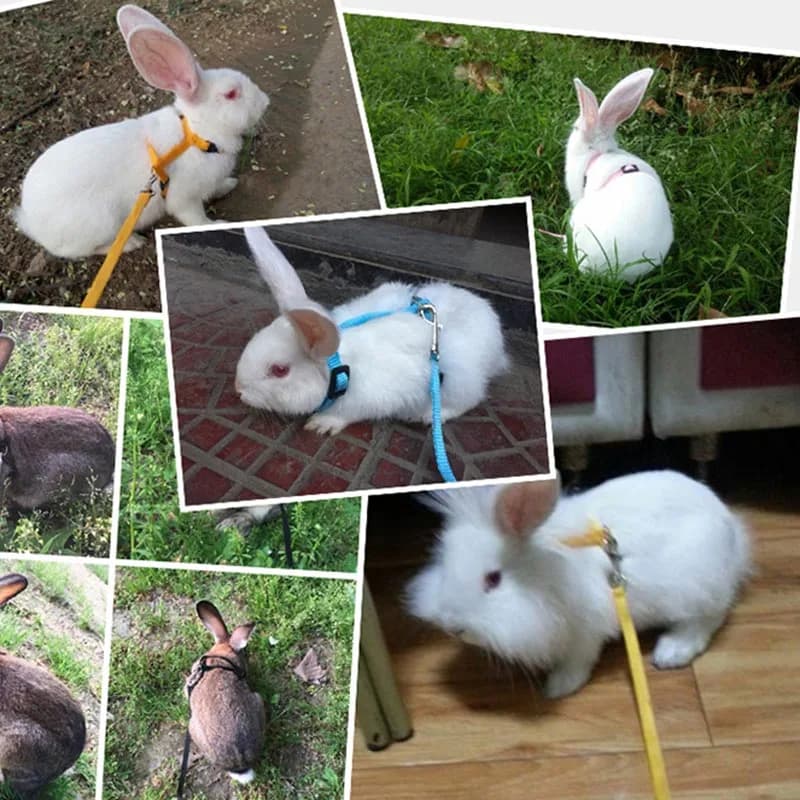 Soft hook for domestic rabbits, adjustable leash, rabbit rope for running and walking