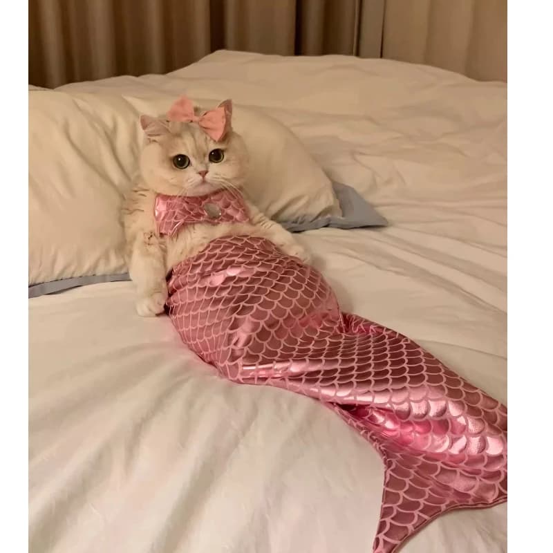 Vestiti per Gatti, Costumi Divertenti da Sirena, Giocattoli in Peluche per Gatti, Decorazioni a Coda di Pesce, Costumi Divertenti per Fotografia, Accessori per Abbigliamento per Animali Domestici