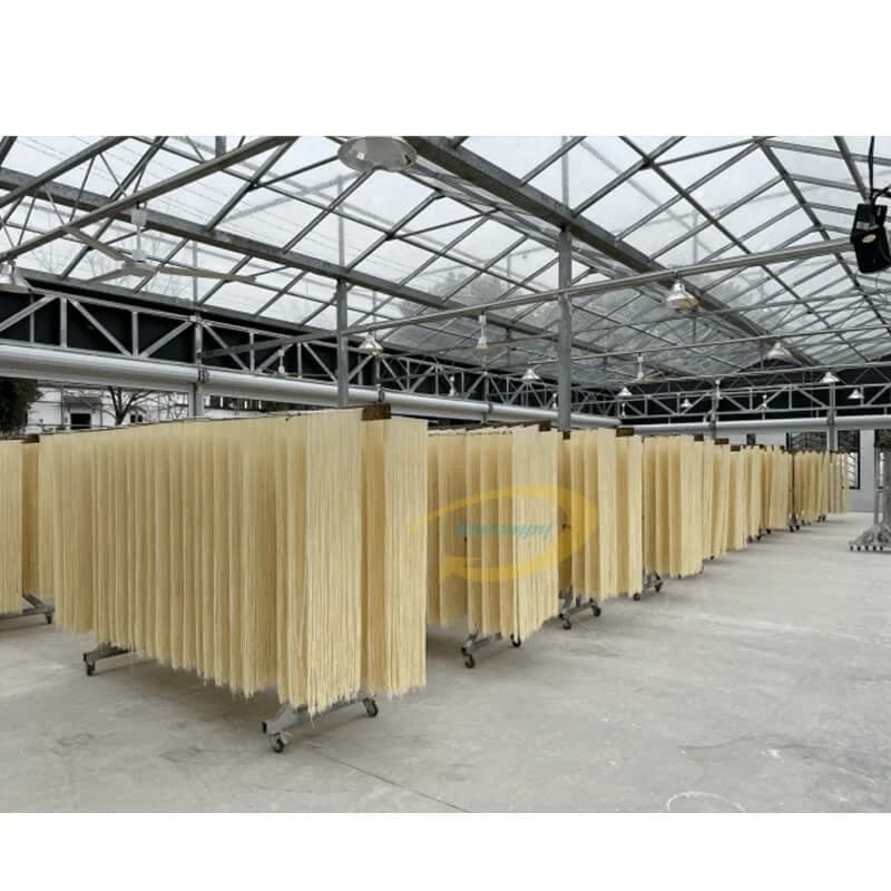 Vendita caldaMacchina per fare noodle Linea per fare noodle per pasta Macchina per fare noodle automatica secca e fresca