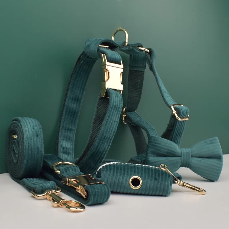 Set collare e guinzaglio per cani in velluto a coste verde scuro per cani targhetta con incisione personalizzata forniture per animali guinzaglio per cani Corduroy18