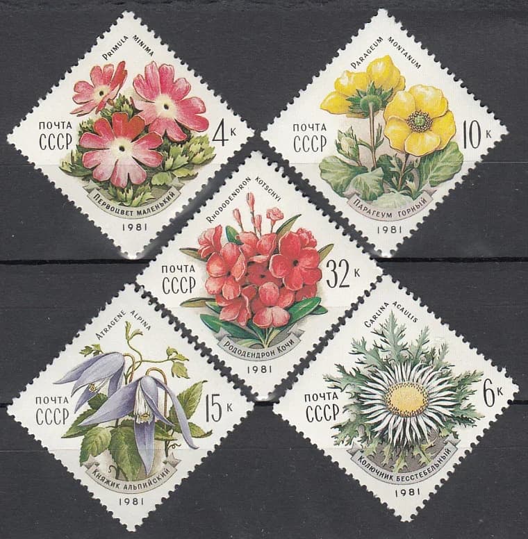 5Pcs/Set New CCCP Post Stamp 1981 Carpathian Flowers USSR Stamps MNH