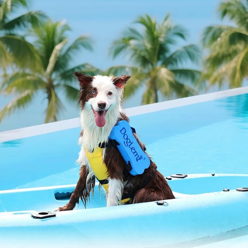 Dual-Use Dog Life Jacket Adjustable Summer Pet Swimming Vest Reflective Walking Harness Outdoor Water Safety Dog Swimsuit