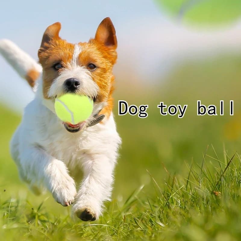 Set di 3 Palline Elastiche per Cani, Resistenti ai Morsi, in Gomma, per Addestramento, Portatili, per Uso Interno ed Esterno