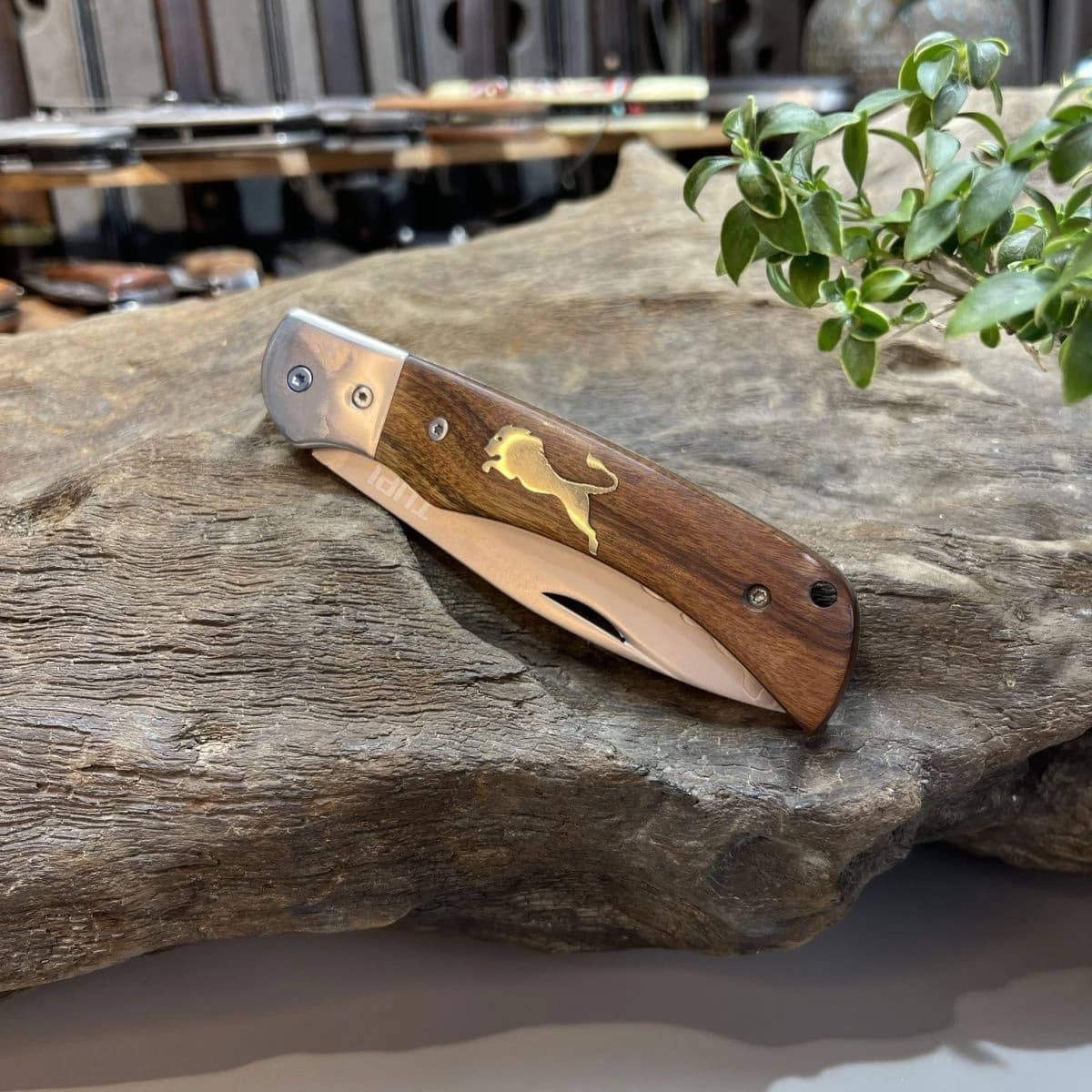 Multifunctional 3-in-1 Stainless Steel Fruit Knife Portable Folding Peeling Knife, Kitchen Tool for Apple, Potato, Vegetable