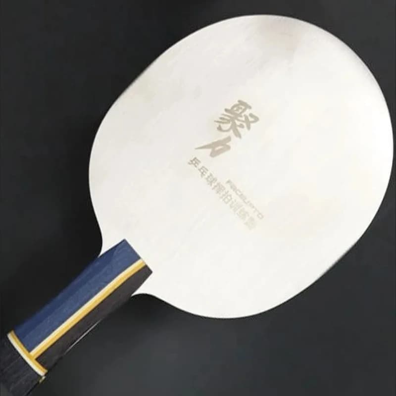 Racchetta da Ping Pong in Acciaio Inossidabile per Principianti, Racchette Durevoli per Allenamento, Racchetta Professionale per Sport