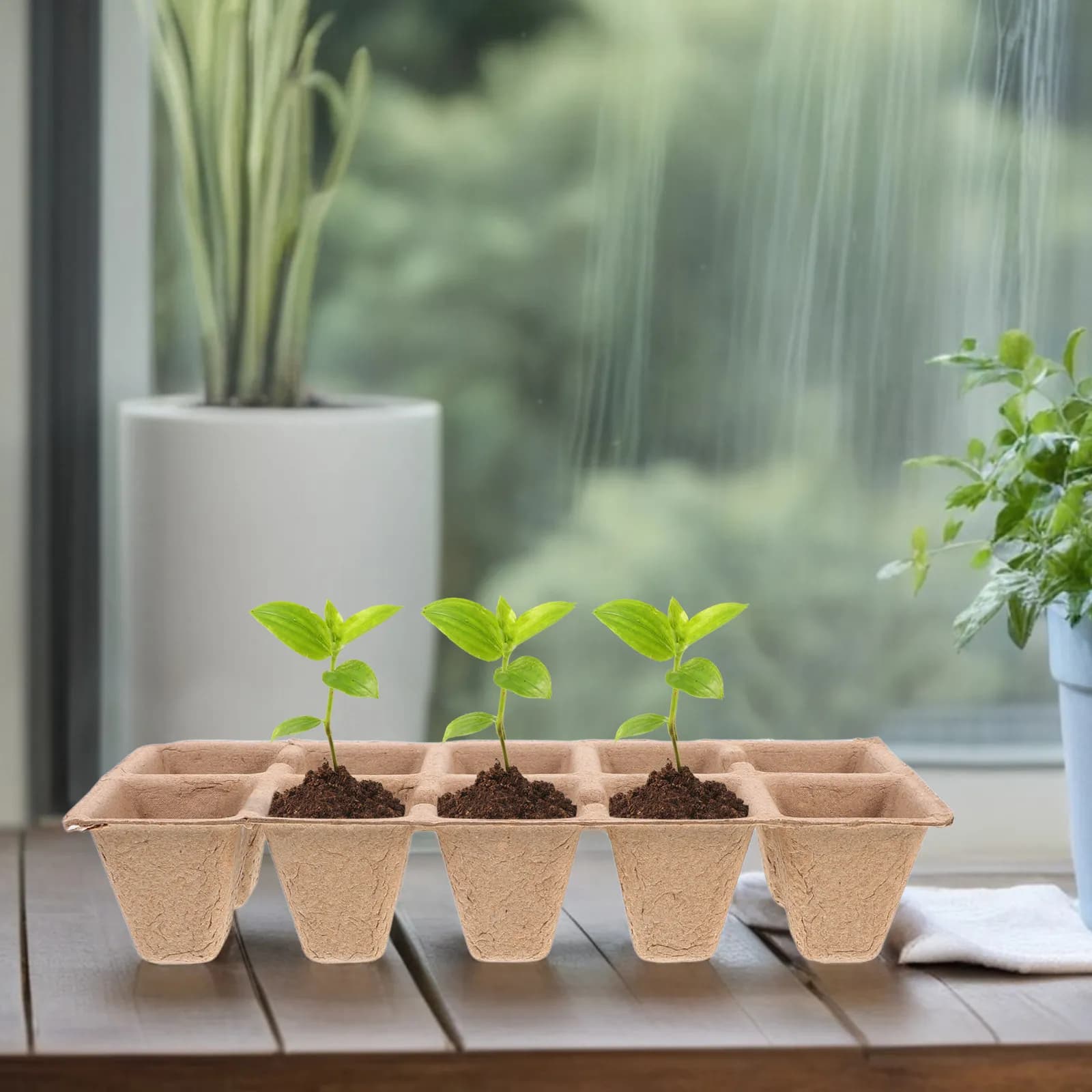 20 Vassoi per Semina in Fibra Vegetale per Piante, Vasi da Vivaio per Giardinaggio Interno ed Esterno, Germinazione Semi, Coltivazione Fiori e Ortaggi