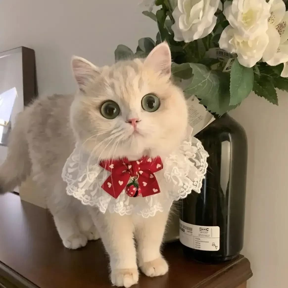 Collare per cani con perle Gioielli in seta Matrimonio Gatto Cucciolo Nastro Sciarpa Ciondolo Archi per animali domestici Collana in raso Nuovi accessori per gattini Papillon Regalo