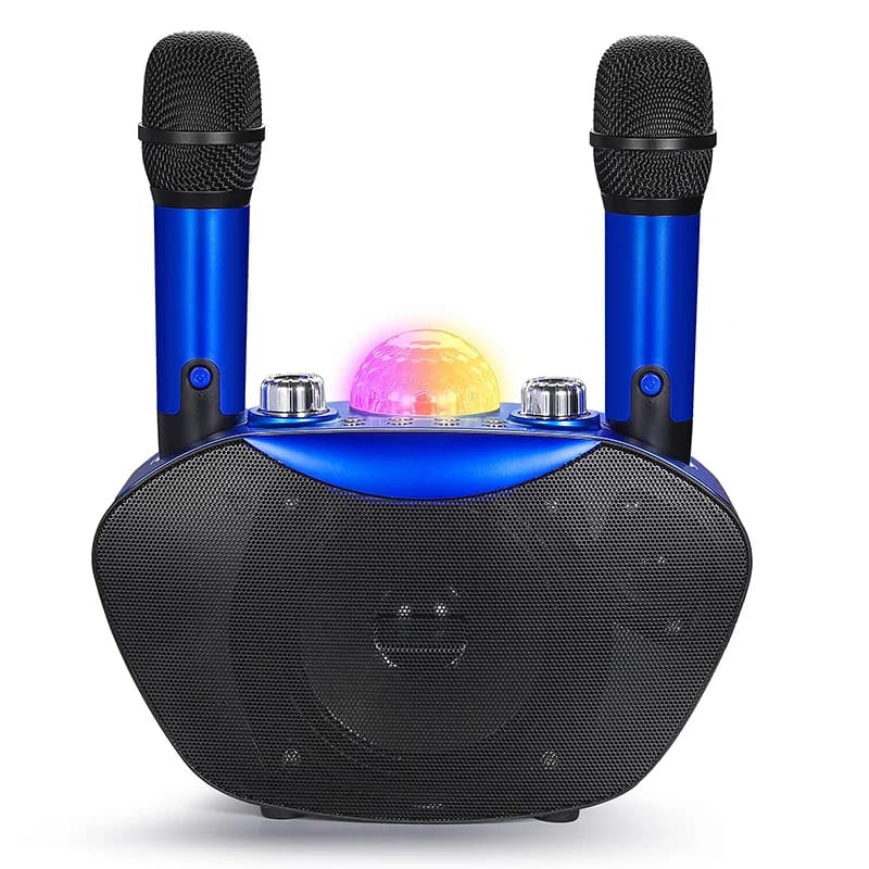 Mini Subwoofer Portatile con Microfono Wireless, Luci Disco Cangianti, Lettore Karaoke Bluetooth, Altoparlante per Esterni