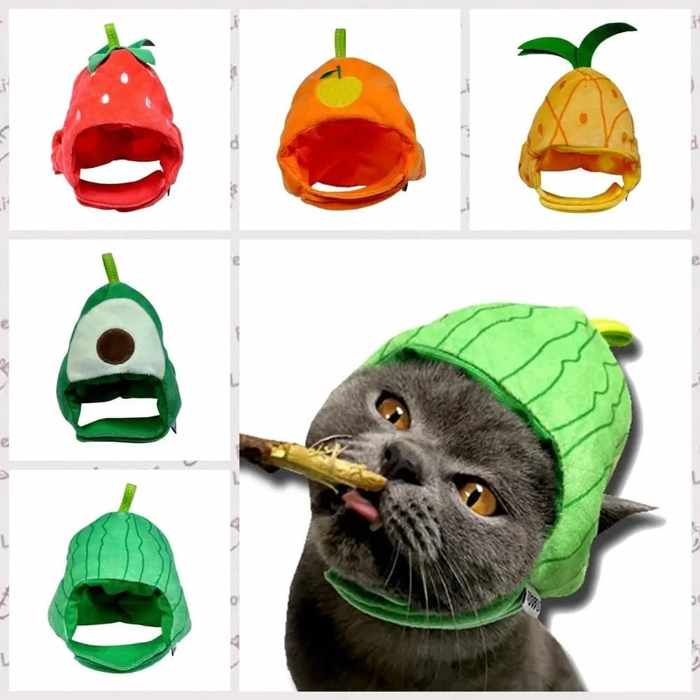 Cappello per Animali Domestici a Forma di Frutta, Morbido e Confortevole, Costume Kawaii per Cuccioli e Gattini, Accessorio Divertente