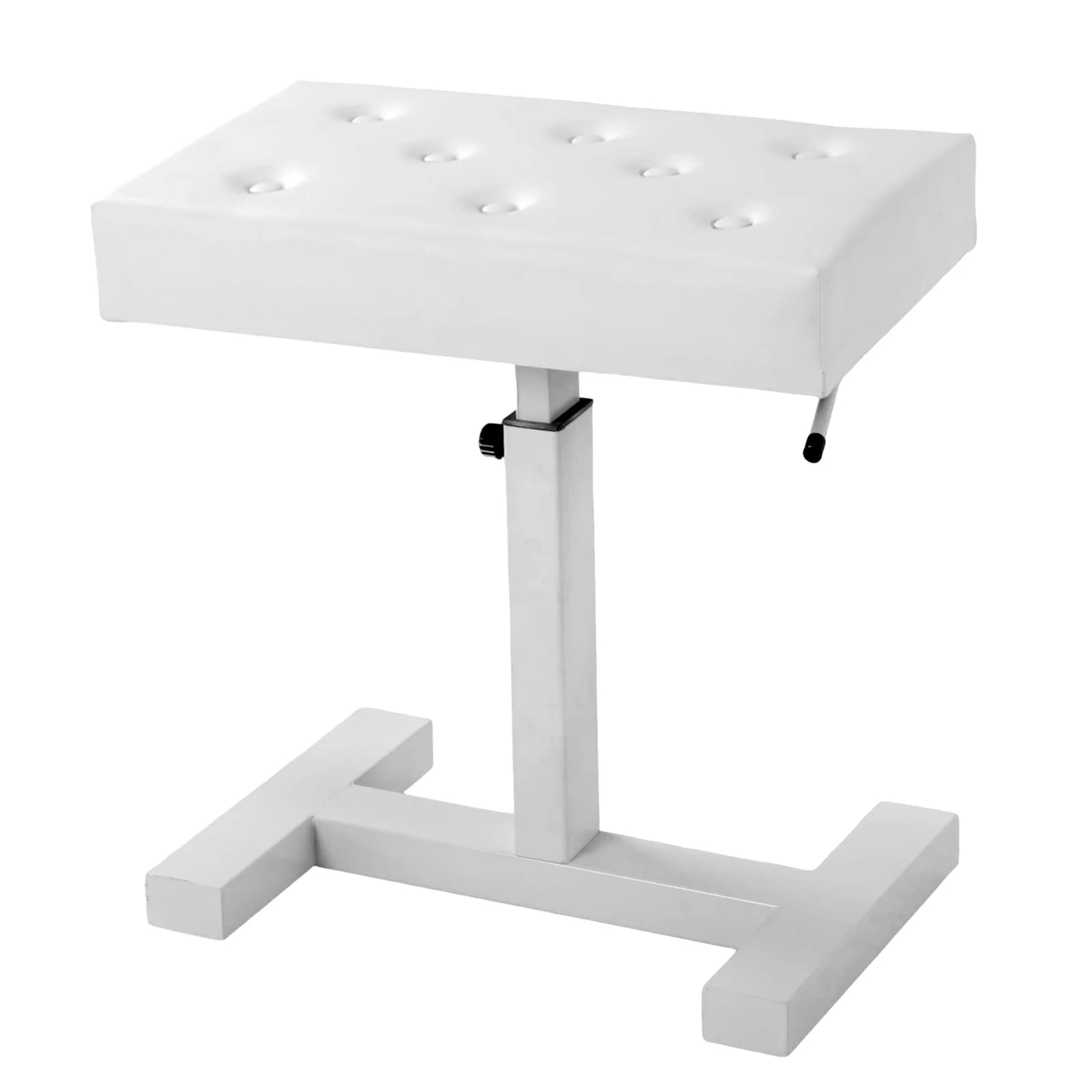 Tasting Chair with Hydraulic Lift, Adjustable Height, with PU Leather Bearing and Vanity Sponge, Living Room, Bedroom