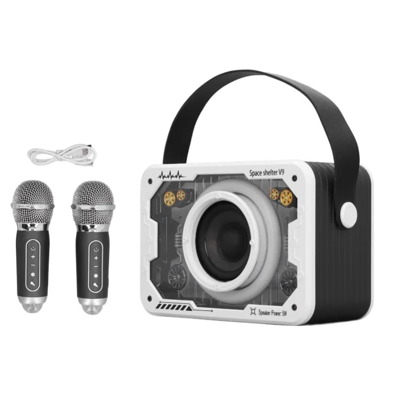 Altoparlante karaoke Bluetooth wireless portatile con 2 microfoni, sistema karaoke per bambini per feste in casa
