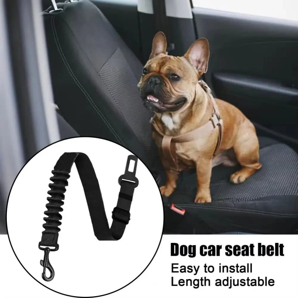 Cintura di Sicurezza Regolabile per Cani, Testata Antiurto, con Chiusure Sicure e Elastico Rinforzato, per Tutte le Taglie di Cani