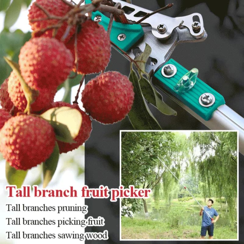 Forbici retractable fruit harvesters Garden tools Adjustable pruning shears telescopic shears for tall branches for the house Fruit collection tool