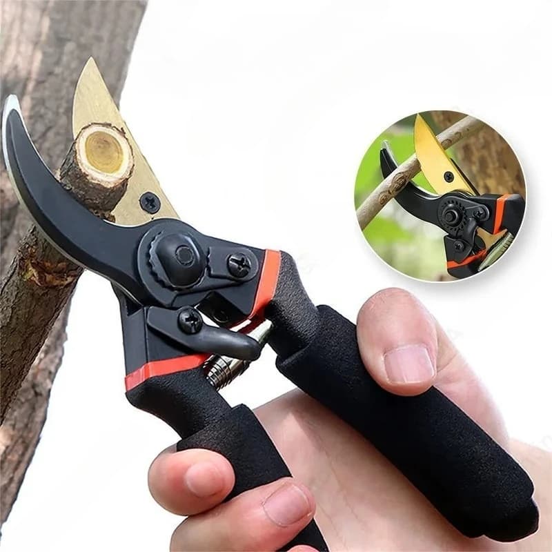 Forbici da Potatura Professionali Salva-Lavoro per Bonsai, Alberi da Frutto, Fiori e Rami - Cesoie Affilate per Giardino
