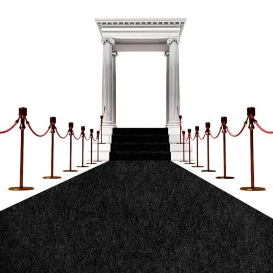 Runner Carpet Black Waterproof Extra Thick 450 GSM for Events and Decorations, 3x20 Feet, Anti-slip, for Passes and Folders
