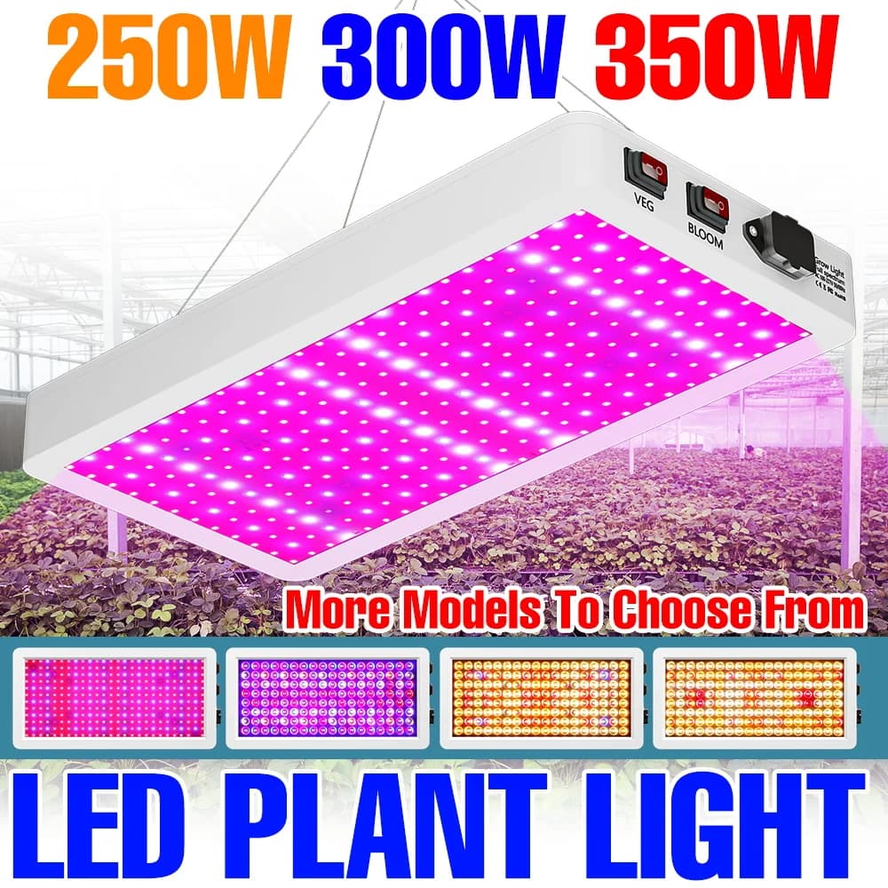 LED Lamp for Cultivation 800W, 220V Complete Spectrum, Hydroponic Lighting, Serre, Fruit, Flowers, Vegetables and Semi