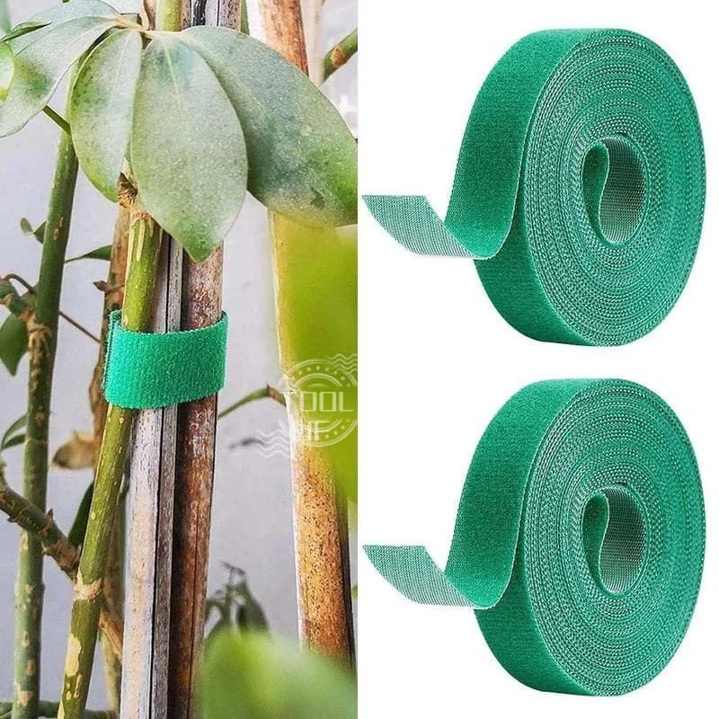 Nastro per legare piante verdi rampicanti Nastro per modellare piante in velcro Nastro da giardino Fibbia adesiva bifacciale Linea di legame per giardinaggio per raggruppare