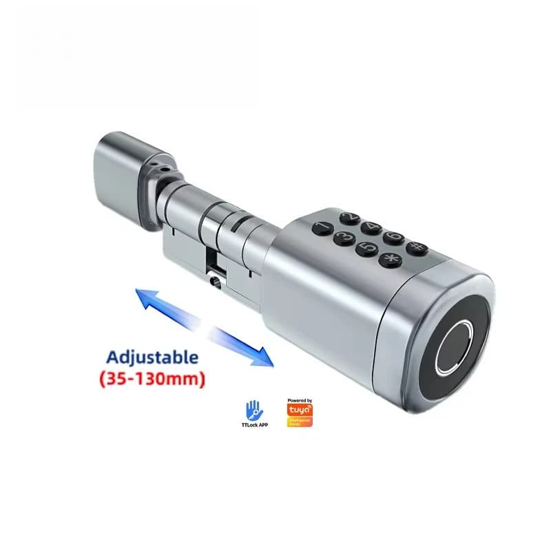 Tuya Ttlock Impronta digitale RFID Card Key Door Lock WiFi regolabile BLE Smart Cylinder Lock per sostituire il vecchio meccanico