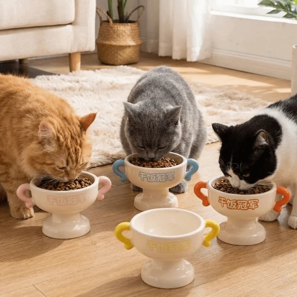 Universal Elevated Cat Food Water Bowl Large Capacity High Feet Ceramic Pet Bowl Stable Non-Slip Base Pet Food Basin Puppy Cats