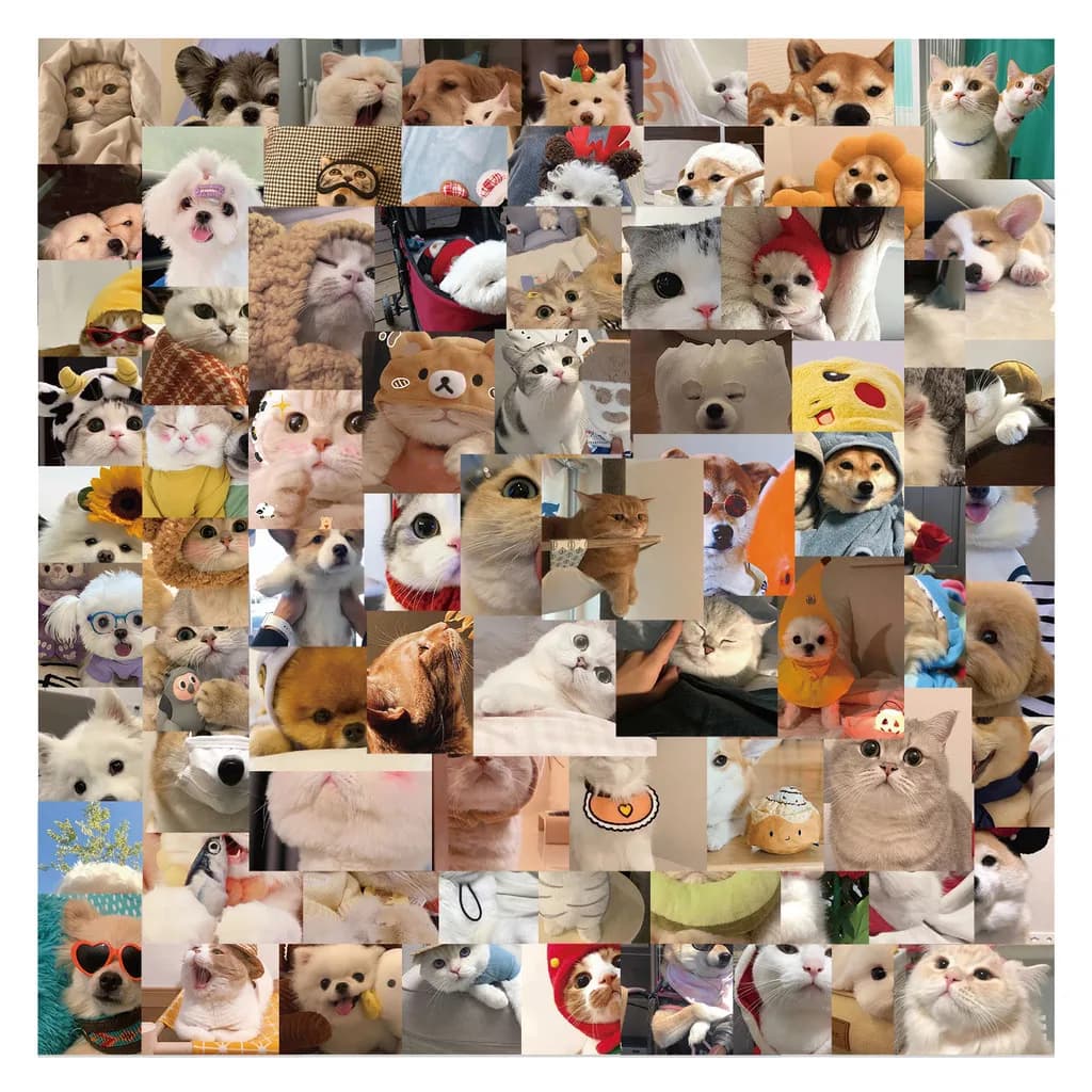 100 adesivi graffiti con meme gatto e cane - Decorazioni impermeabili per bagagli, chitarre e quaderni Fai da te di vendita calda (negozio anime)