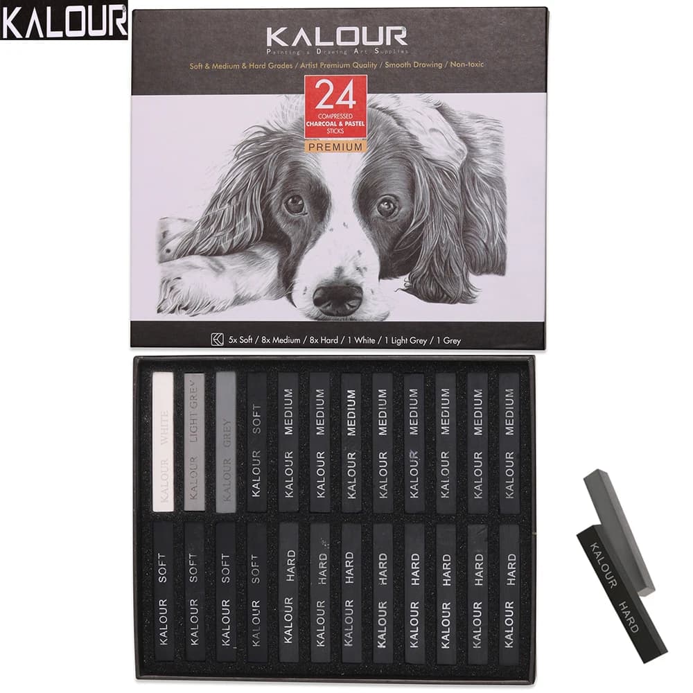 KALOUR 24pcs Charcoal Sketch Sticks,Soft&Hard&Medium Grades Black/White/Gray Professional Drawing Set Multi-purpose Art Tools