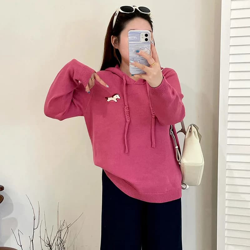 plus Size Women's Casual Hoodie Sweatirt Winter Knitted Patterned All over Sweet Sle Long Sve Overhead Top