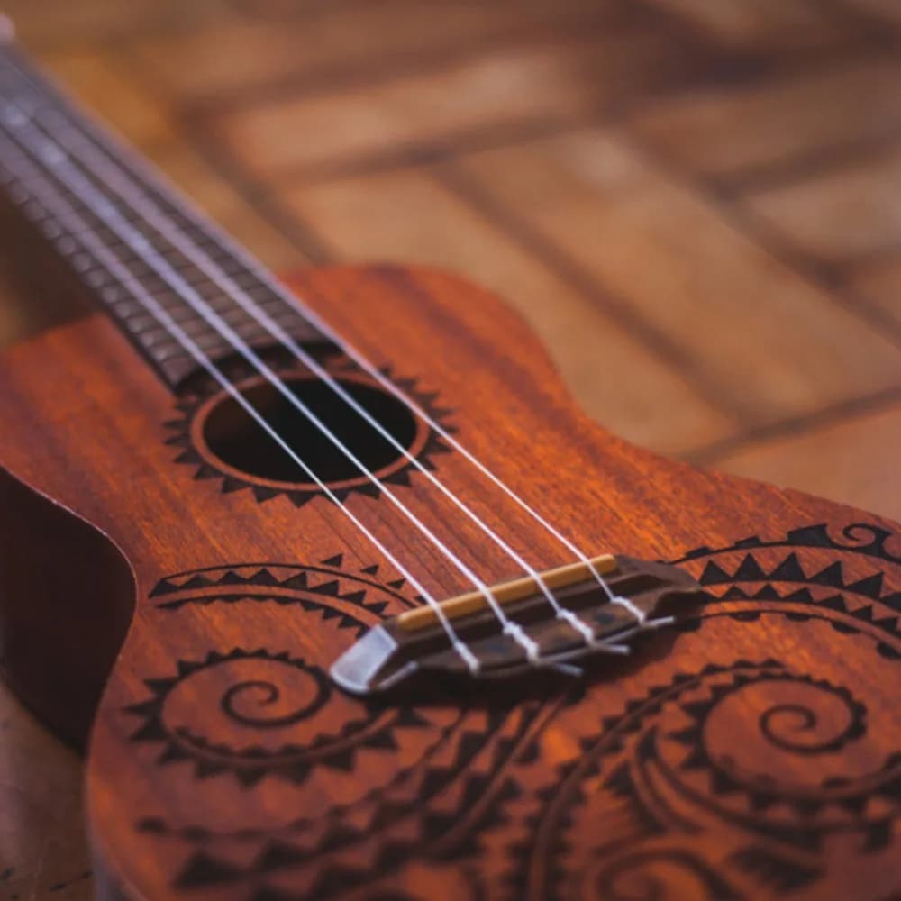 ​ Diametro 4 mm ​ Guscio ​ Ponte dell'ukulele ​ ​ Parte accessoria per ukulele ​ Componenti del ponte ​ ​ Ponte a sella ​ ​ Superiore e inferiore ​ Ponte inferiore ​
