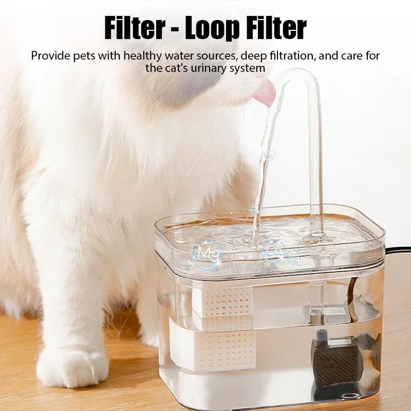 Fontana per gatti ultra silenziosa Filtro automatico Abbeveratoio per gatti USB Elettrico Muto Ricircolo Filtraggio Bere per gatti Distributore d'acqua