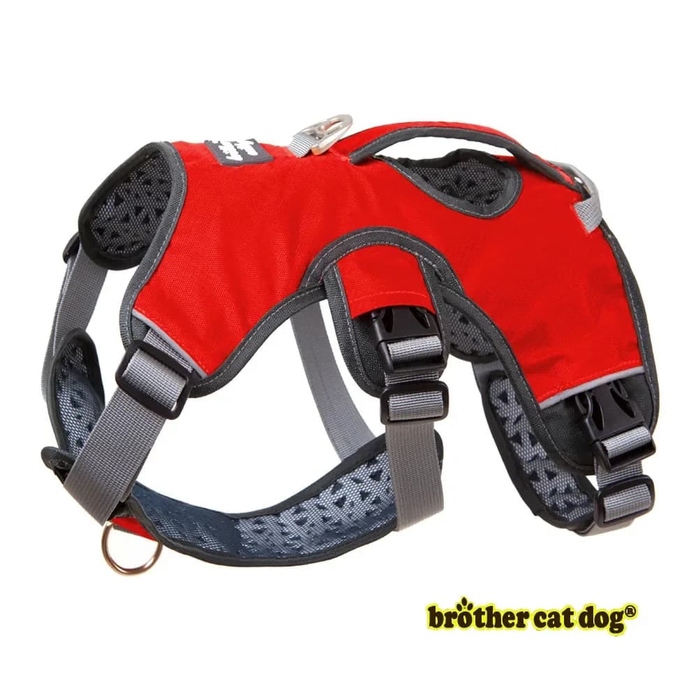 Pettorina per cani da compagnia Gilet da passeggio per cani di taglia grande Imbracatura riflettente da viaggio imbottita forte regolabile per esterni Pitbull Dropship Perro