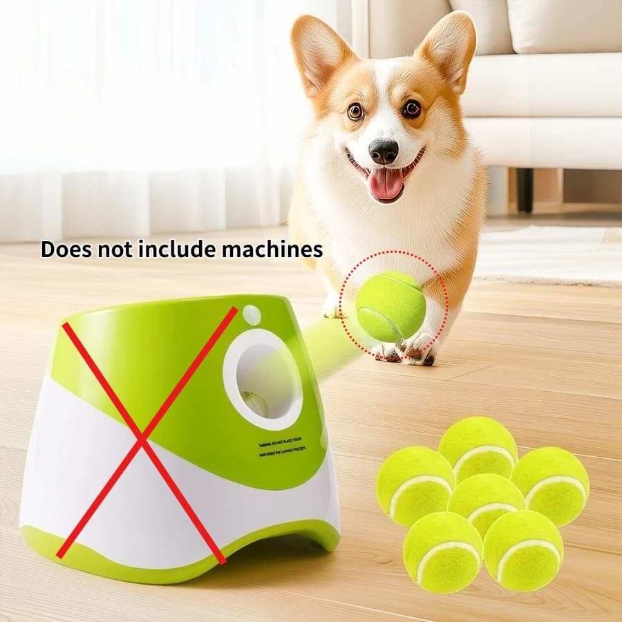 Lanciatore Automatico di Palline da Tennis per Cani Piccoli, per Uso Interno/Esterno, Tennis Interattivo per Cani - Altezza 2,4 Pollici