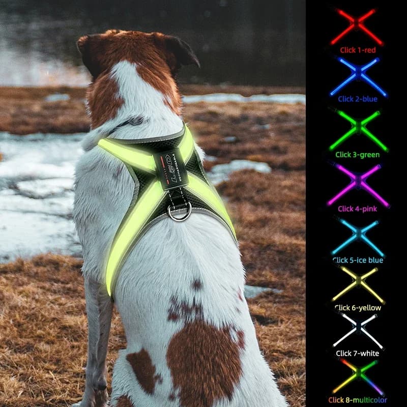 2024 Nuovo stile 8 colori Led Pet Dog Cablaggio luminoso con luce a Led Ricaricabile Light Up Lampeggiante Notte di sicurezza Pettorina per cani