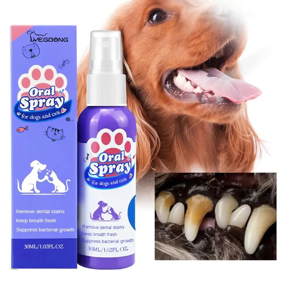 Spray dentale per animali domestici riduce l'accumulo di placca e tartaro pulizia del cane deodorante per l'alito denti Spray alla menta orale 30ml sapore di cura