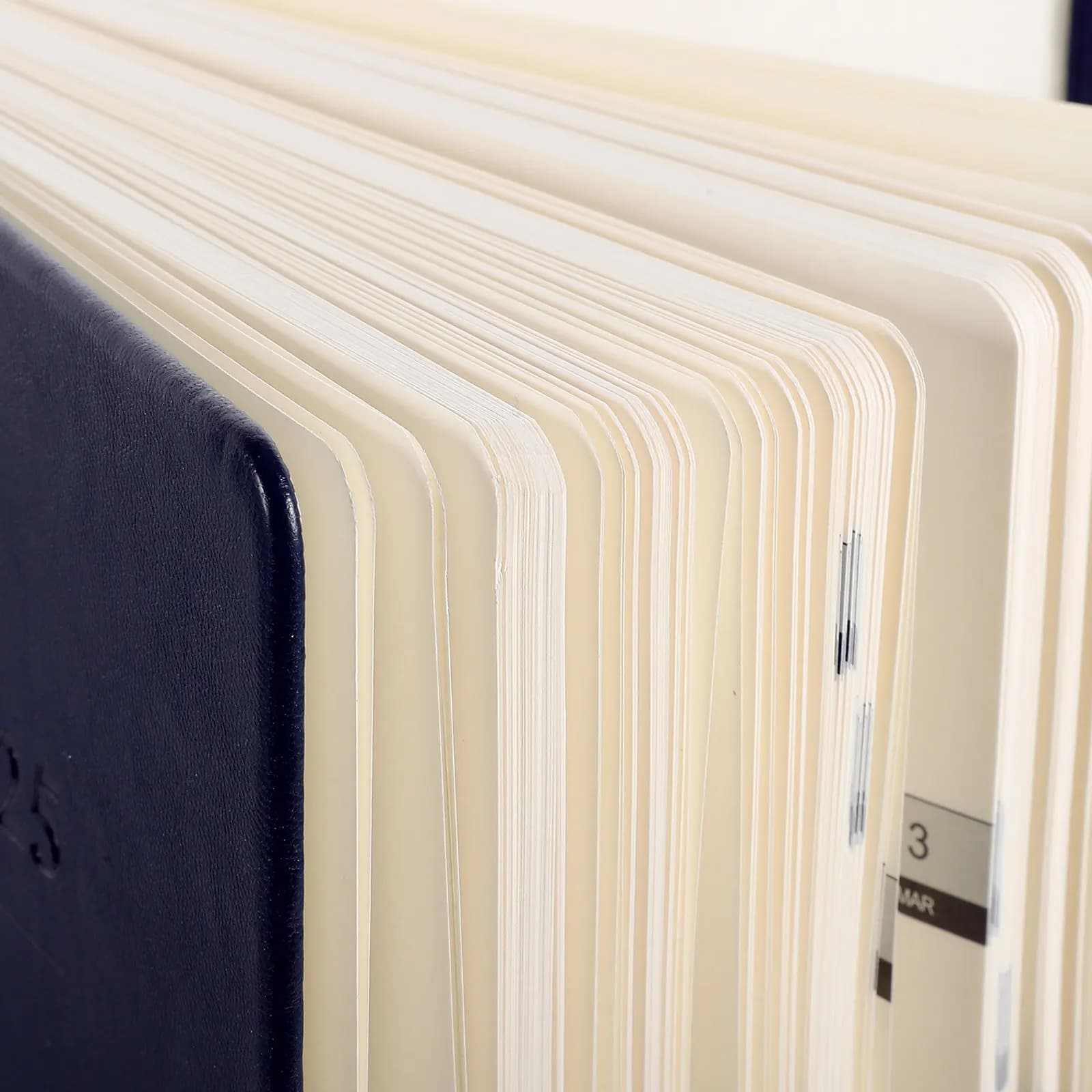 Agenda giornaliera in PU con carta liscia per la scrittura, taccuino portatile per appuntamenti, per ufficio, casa, viaggi, diario e agenda.