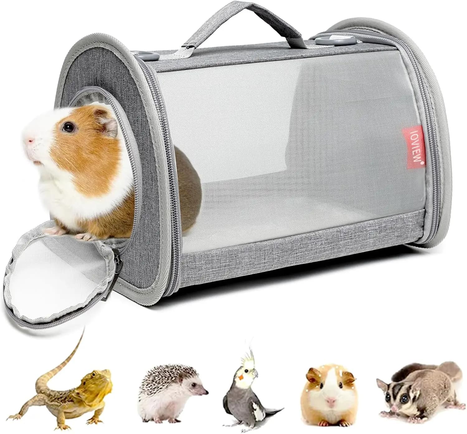 Borsa Trasportino Pieghevole per Piccoli Animali Domestici (Criceti, Conigli, Uccelli) - Rete Traspirante, Portatile, Grigia