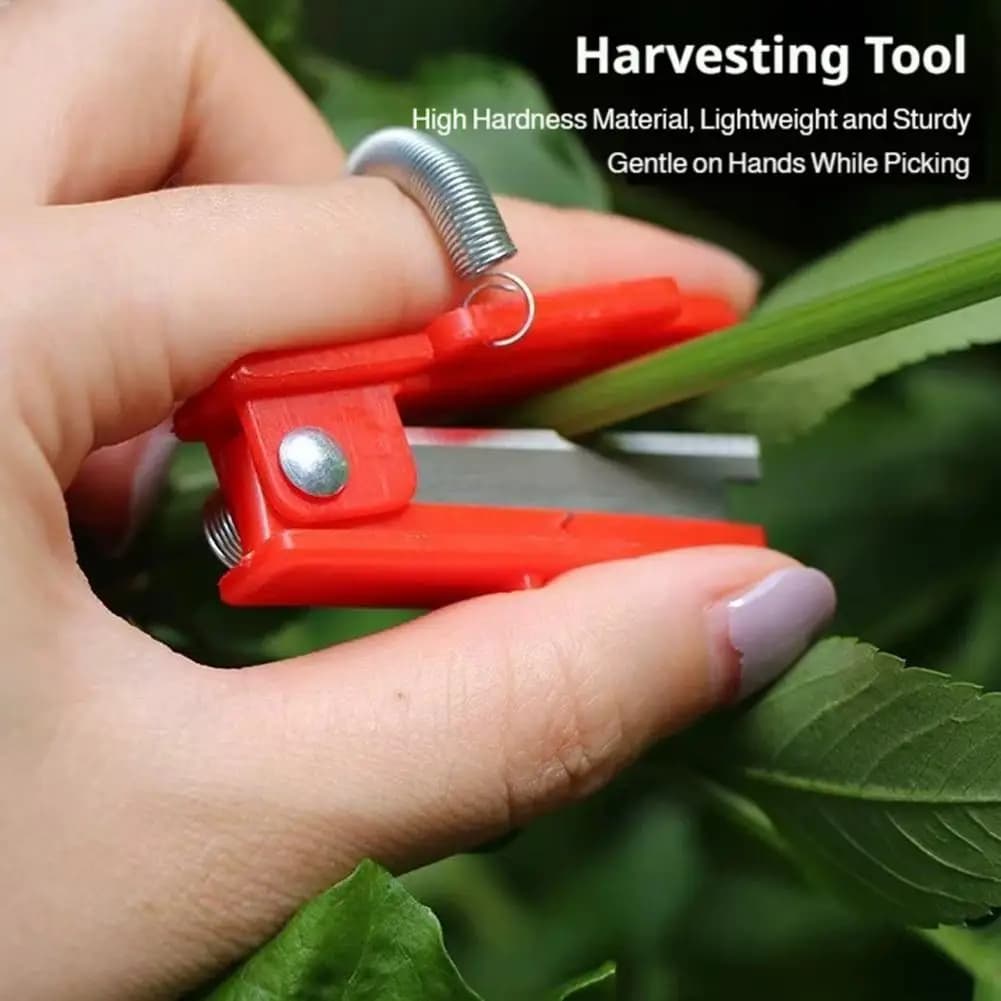 Precision pruning scissors for garden, design with thumb handle, scissors for the care of branches and leaves, manual tool for domestic gardening S1R8