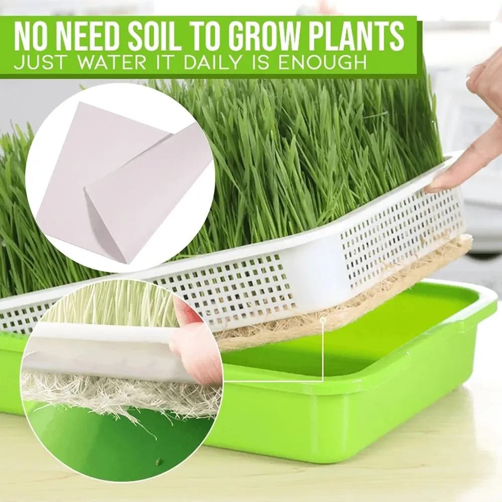 Vassoio Idroponico per Coltivazione Senza Suolo, Contenitore per Piante, Vaso per Germogli, Vasi da Coltura, Vassoio per Germinazione Semi