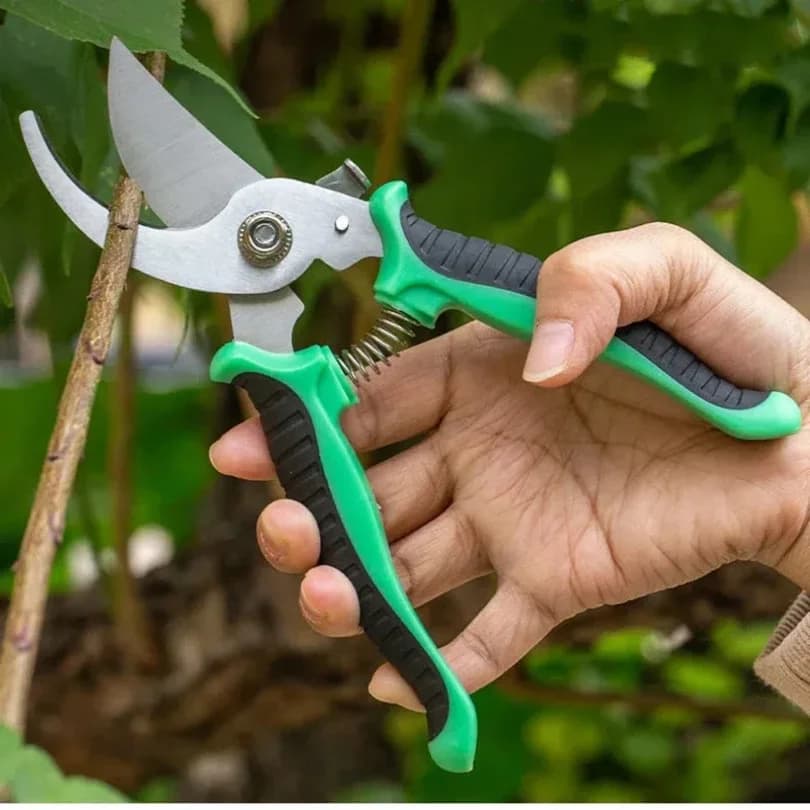 Professional Gardening Scissors in Stainless Steel for Potting Coppers, Fruit Trees, Flowers, Domestic Power Tools
