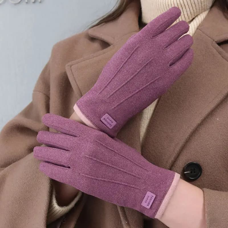 Touchscreen gloves lined with women's fleece, Korean version, for spring and autumn, windproof and warm, for cycling and vehicle driving