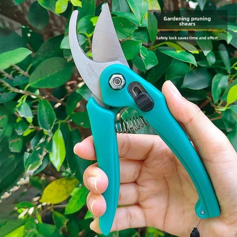 Small green pruning scissors, shears for branches, pruning scissors for garden fruit trees, pruning scissors for flowers and horticulture