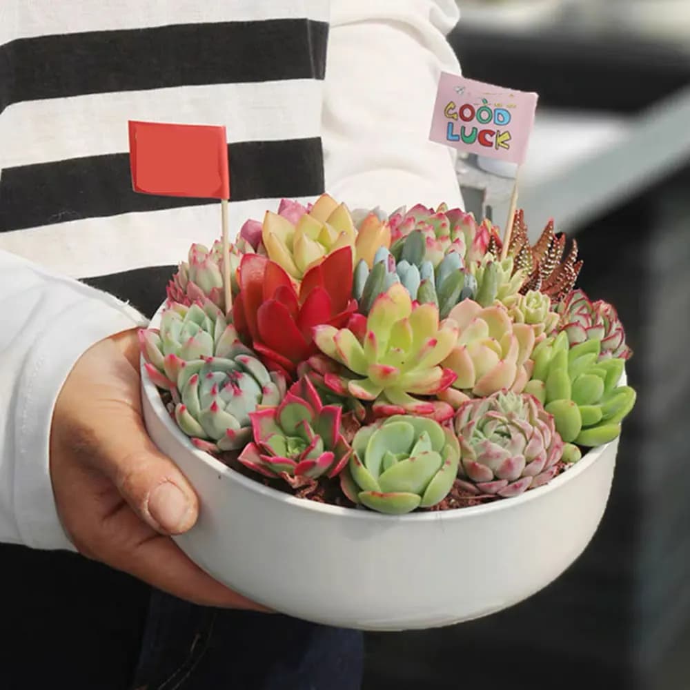 Grande vaso per piante stampo in Silicone rotondo in cemento a righe ciotola vaso di fiori stampo fai da te vaso di candela vassoio di stoccaggio in cemento stampo in resina